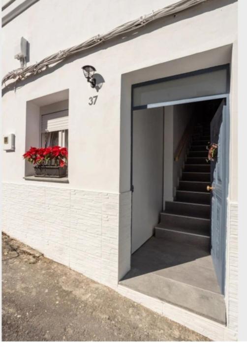 Casa Chano Estudio Confortable Tenerife Icod De Los Vinos Exterior foto